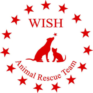 Wish Animal Rescue - Dog and Cat Re-homing and Adoption - Western Australia