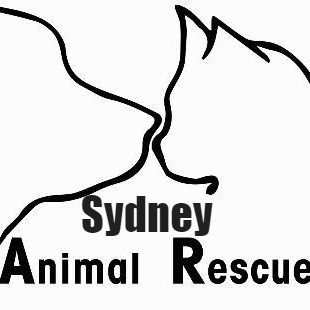 Sydney Animal Rescue - Pet Foster and Adoption - Sydney, NSW