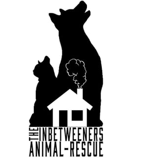 The Inbetweeners Animal Rescue - Pet Foster & Adoption - Melbourne, VIC