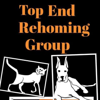 Top End Re-homing Group Inc. - Animal Foster and Adoption - Darwin, NT