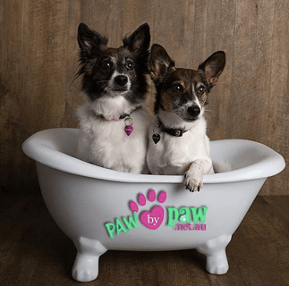Paw by Paw Dog Grooming - Adelaide