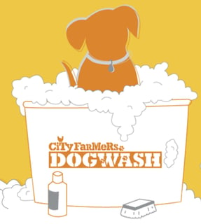 City Farmers Mobile Dog Wash - Grooming, Puppy School, and Pet Supplies - Albany, WA