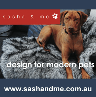 Sasha & Me - Pet Accessories and Products 