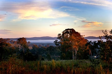 Guys Cross Farm Cottage - Pet Friendly Accommodation - Carwoola, NSW