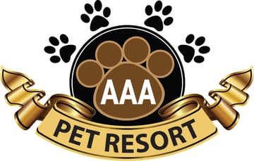 AAA Pet Resort - Dog and Cat Boarding, Day Care, Pet Taxi Service - Gold Coast, QLD