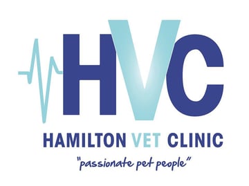 Hamilton Veterinary Clinic - Newcastle, NSW