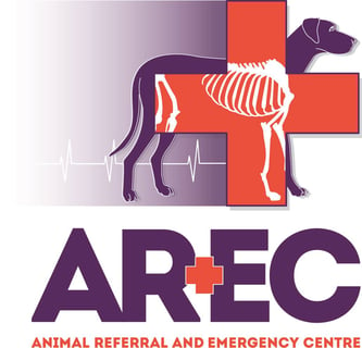 Animal Referral and Emergency Centre - 24 Hour Vet - Newcastle, NSW