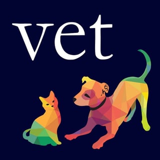 Fortitude Valley Vet - Brisbane, QLD