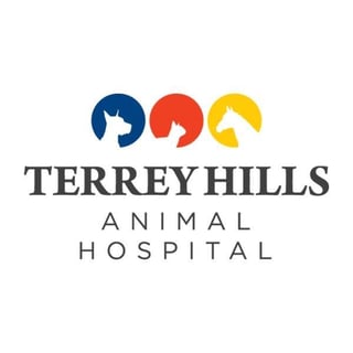 Terrey Hills Animal Hospital - Sydney, NSW