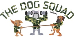 The Dog Squad - Dog Walking, Doggy Boot Camp, Pet Minding - Canberra