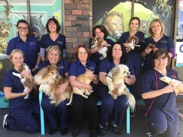 Menai Animal Hospital - Bangor, NSW