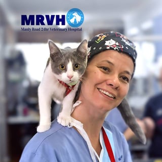 Manly Road Veterinary Hospital - 24 Hour Vet - Brisbane, QLD