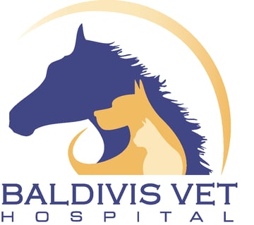 Baldivis Vet Hospital - Baldivis, WA