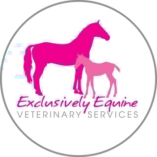 Exclusively Equine Veterinary Service - Ipswich, QLD