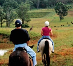 Hunter Valley Horse Riding - Hunter Region, NSW