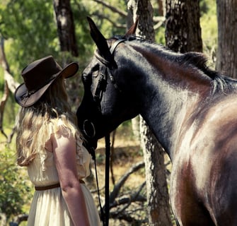 The Humble Horse - Horse Riding - Margaret River, WA