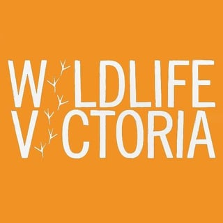 Wildlife Victoria - Wildlife Rescue and Rehabilitation - VIC