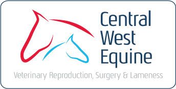 Central West Equine - Veterinary Practice - Orange, NSW