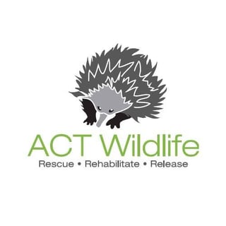 ACT Wildlife - Rescue and Rehabilitation - Canberra, ACT