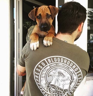 Bloodhound Espresso - Dog Friendly Cafe - Darlinghurst, NSW