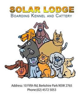 Dog and Cat Boarding at Solar Lodge Boarding Kennels