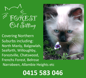 Forest Cat Sitting - Pet Sitting & Minding - Northern Suburbs, Sydney