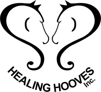 Healing Hooves Inc- Where miracles in hooves are found -Gold Coast, Qld