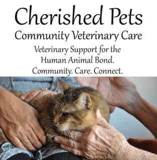 Cherished Pets Vet - Geelong