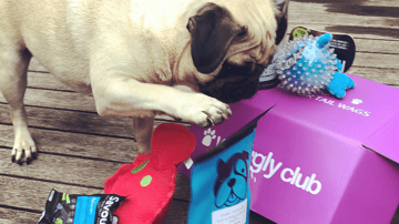 Waggly Club - All Natural Dog Treats & Toys 