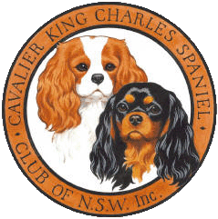 Cavalier King Charles Spaniel Club of NSW