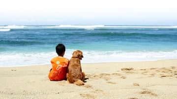 City Beach Veterinarians - City Beach, Perth WA