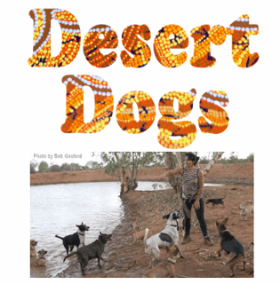 Camp Dogs - Puppy Rehoming - Warlu Dog Program, Aussie Desert Dogs