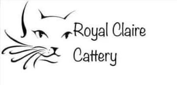 RoyalClaire Cattery - Lake Macquarie, NSW