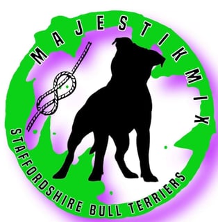 MajestikMix Staffordshire Bull Terriers - South Gippsland, VIC