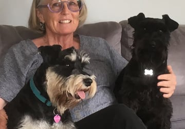 Mokai Mini Schnauzers - Miniature Schnauzer Breeder - Carwoola, NSW