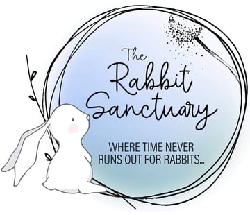 The Rabbit Sanctuary