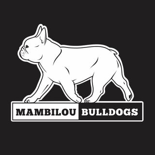 Mambilou Kennels - French Bulldog Breeder - Melbourne, VIC