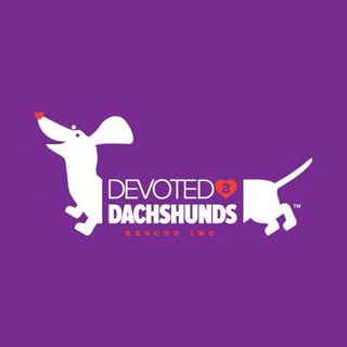 Devoted 2 Dachshunds Rescue Inc - Dog Rescue, Foster & Adoption - Brisbane, QLD