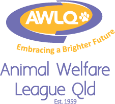 Animal Welfare League Qld - Shelter and Rescue, Adoption