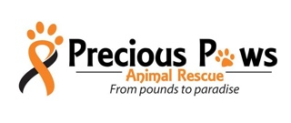 Precious Paws Animal Rescue - Dog Rescue