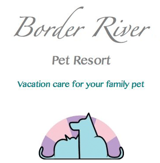 Cattery, Kennel, Pet Boarding Brisbane - Border River Pet Resort - 