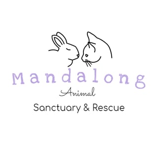 Mandalong Animal Sanctuary & Rescue