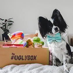 Uglybox Shop -  toys, enrichment and balls for dogs