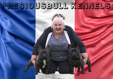 Preciousbull - French Bulldog Breeder -  Lewiston, SA