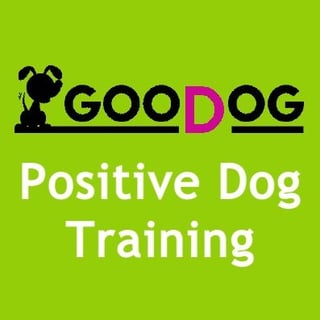 Goodog Positive Dog Training - Dog Trainer, Puppies, Adult Dogs, Rescue Dogs 