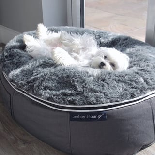 Ambient Dog Beds - The Best Dog Beds!
