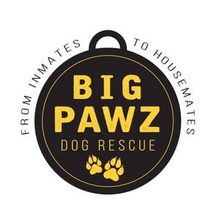 Big Pawz Dog Rescue - Brisbane, QLD