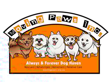 Moving Paws Inc  Always & Forever Dog Haven 