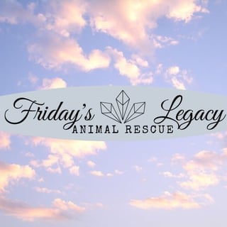 Friday's Legacy Animal Rescue 