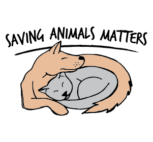 Saving Animals Matters - Animal Foster & Rescue - Perth, WA